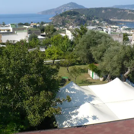 Savoia Procida