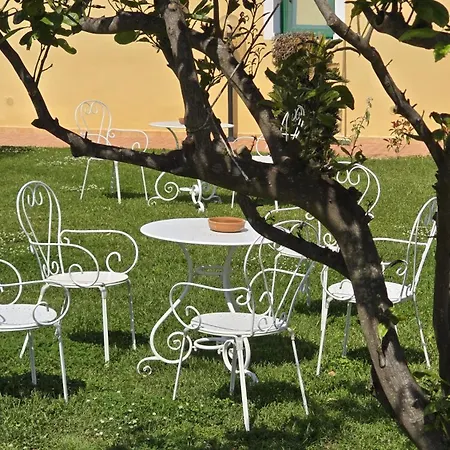 Savoia