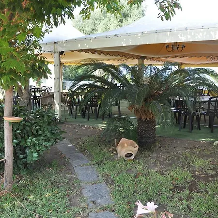 Savoia 3*