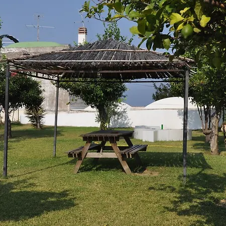 Savoia 3*