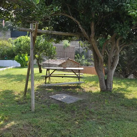 Savoia 3*